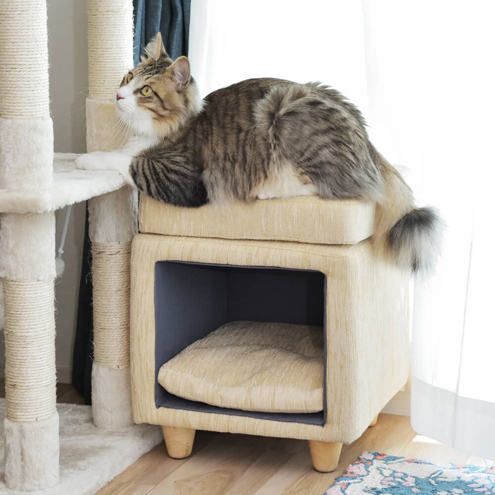 ペットスツール スクエアタイプ