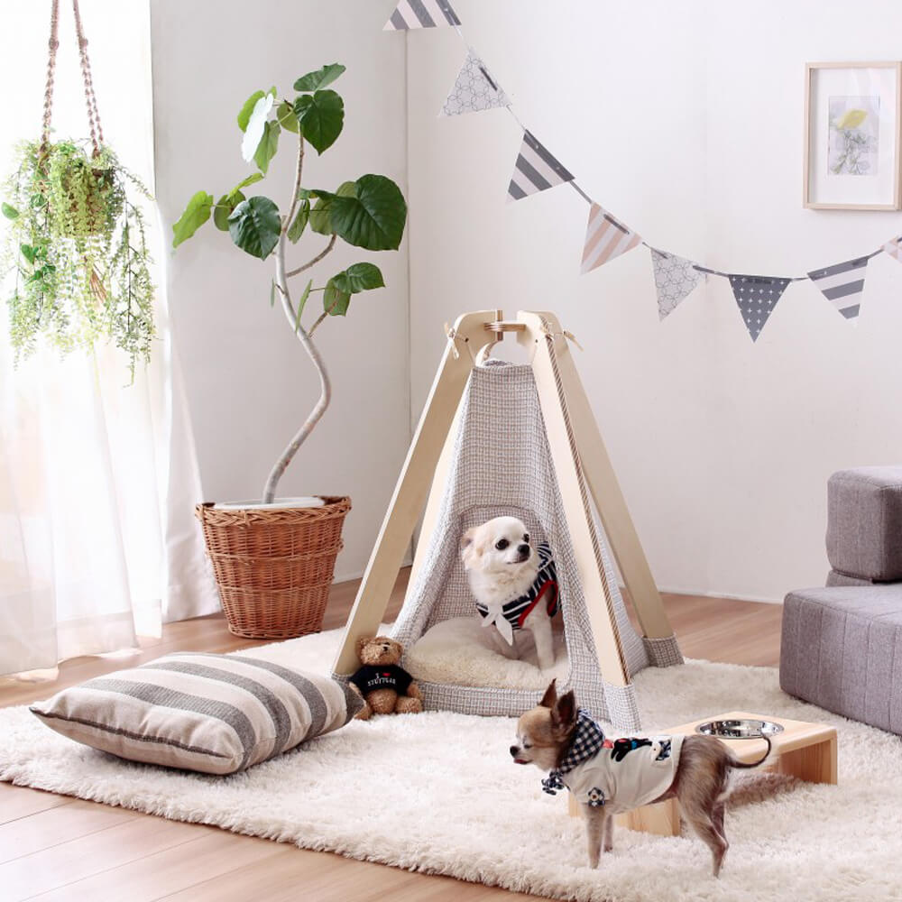 ティピーテント