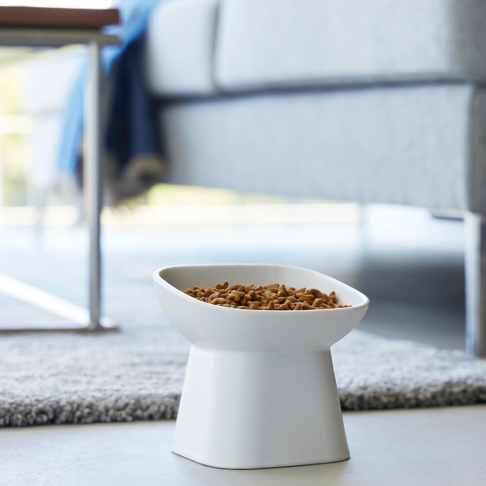 食べやすい高さのペットフードボウル トール