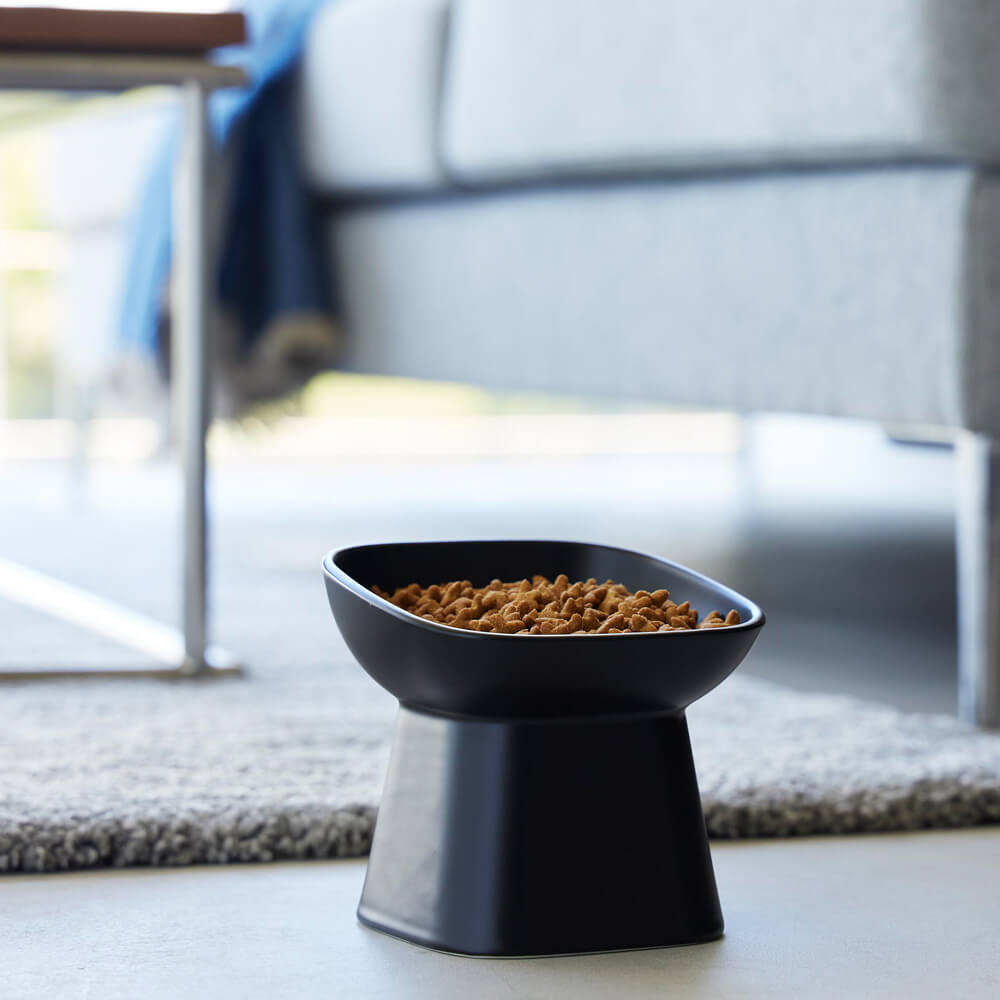 食べやすい高さのペットフードボウル トール