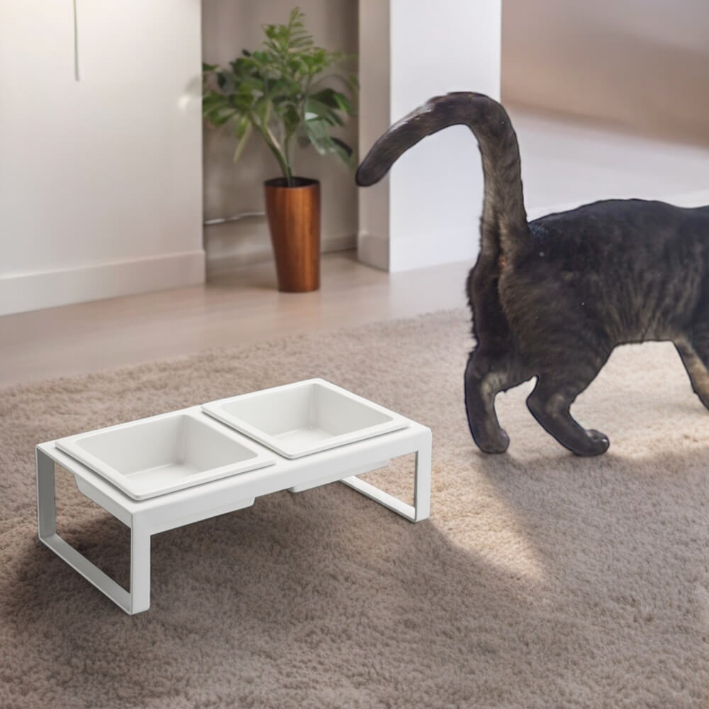 ペットフードボウルスタンドセット トール