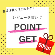 レビュー投稿